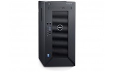 Server Dell T30